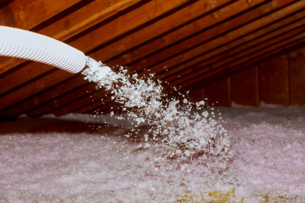 Best Insulation for Specific Applications in Vandenberg Village, CA