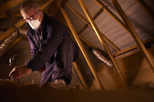Best Insulation for Specific Applications in Vandenberg Village, CA